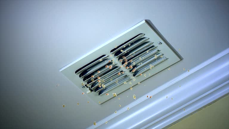 Best Ductwork Cleaning Services  in Shenandoah Farms, VA