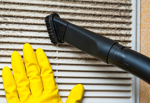 Best Affordable Duct Cleaning Services  in Shenandoah Farms, VA